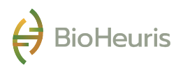 bioheuris logo